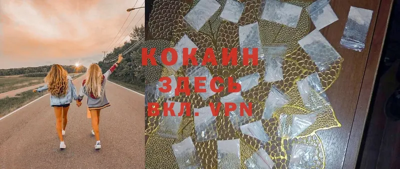 КОКАИН FishScale  закладки  Лесной 